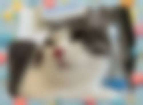 常见问题解答